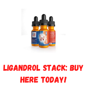 Ligandrol Stack