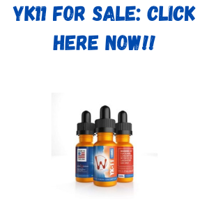 YK 11 For Sale
